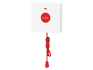KT30 Wireless Button