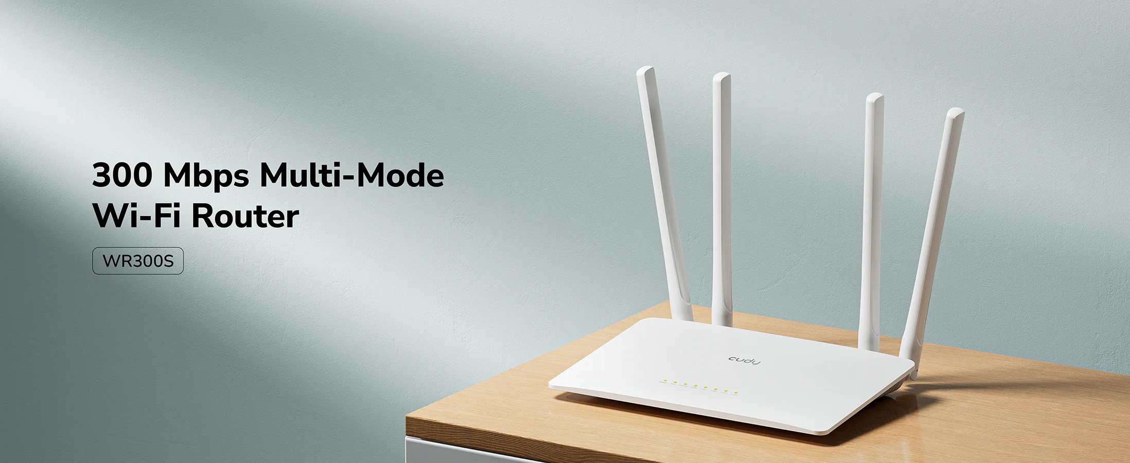 WR300S 1.0 - Image 2